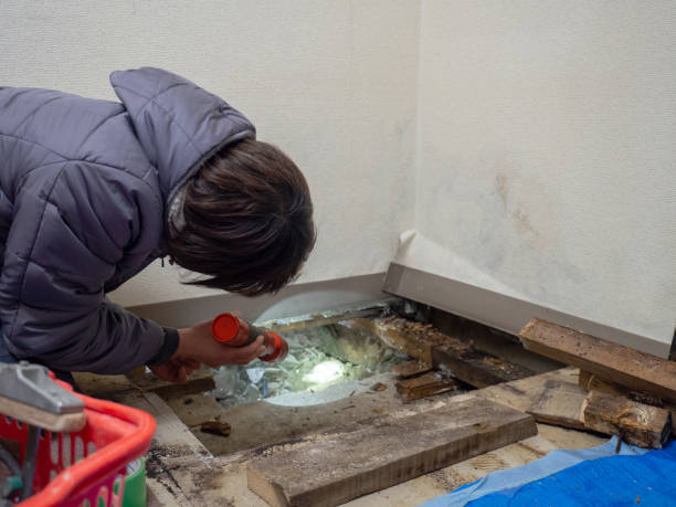 Best Air Quality Testing for Mold Spores  in Litchfield Beach, SC