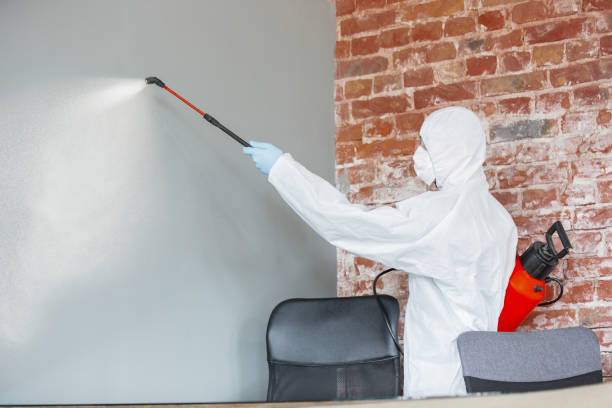 Best Mold Odor Removal Services  in Litchfield Beach, SC
