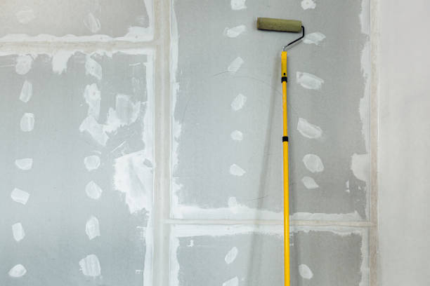 Best Industrial Mold Remediation  in Litchfield Beach, SC