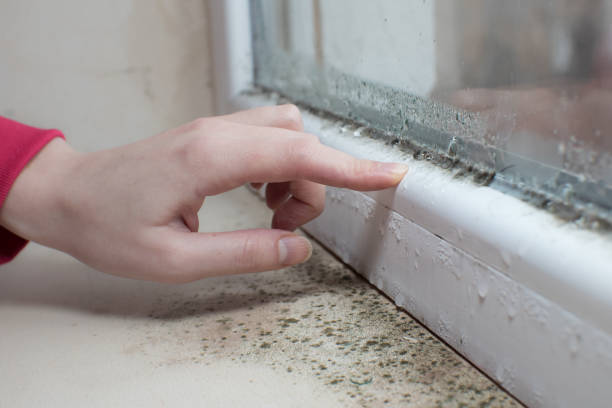 Best Biohazard Mold Removal  in Litchfield Beach, SC