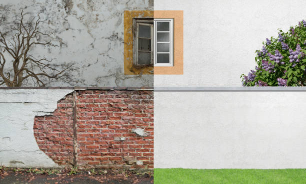 Best Basement Mold Removal  in Litchfield Beach, SC