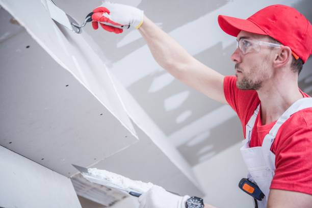 Best Black Mold Removal  in Litchfield Beach, SC